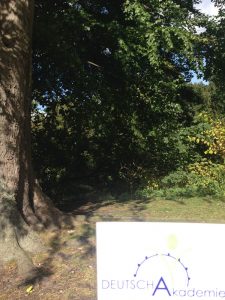Homework-in-the-tiergarten2